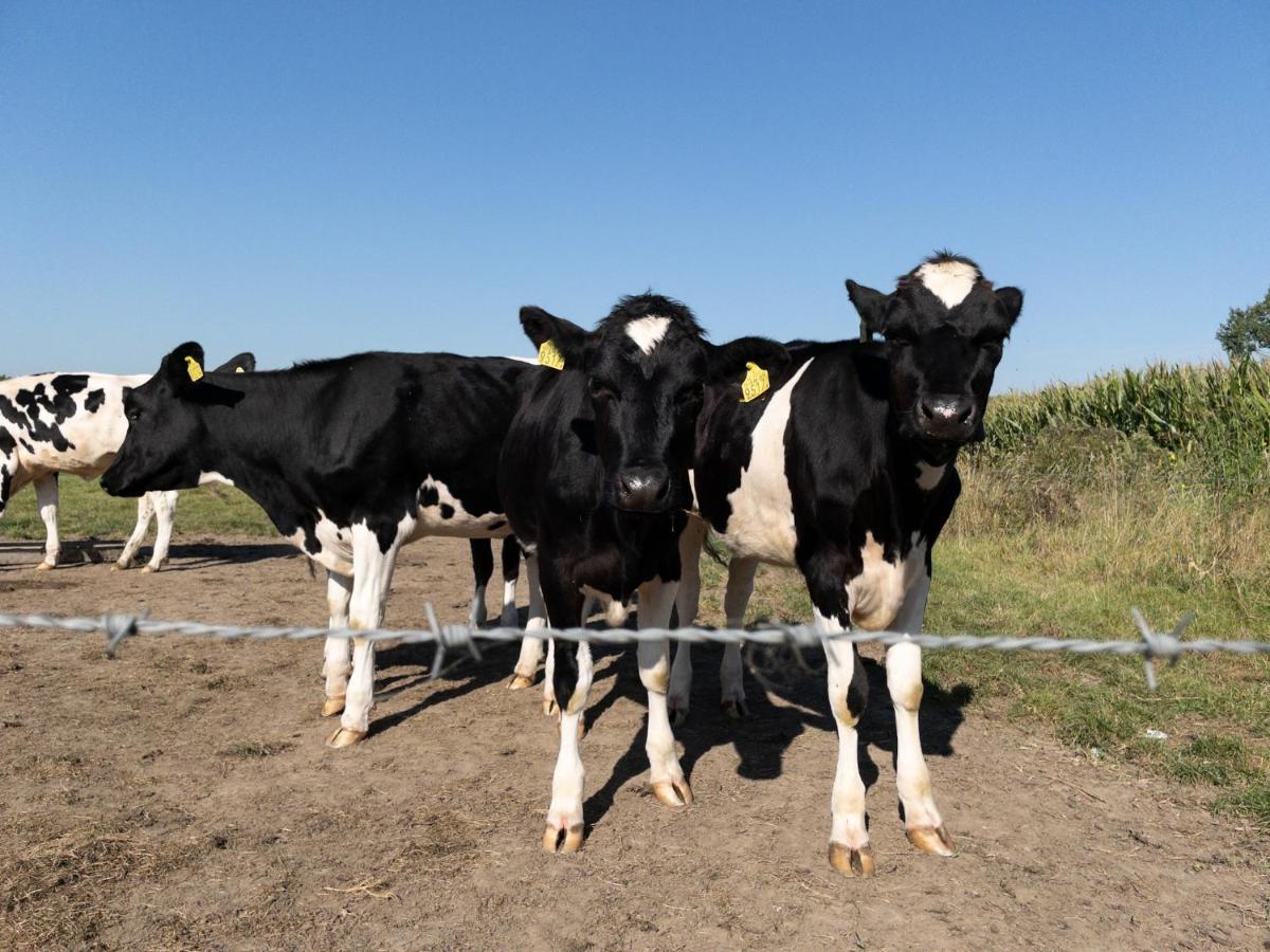 Het Veldhuis Beuningen  Exteriör bild